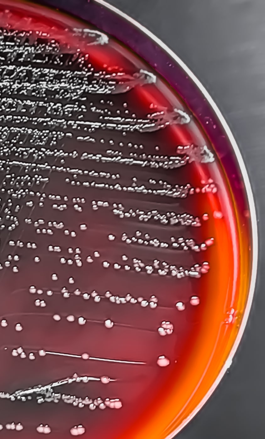 مشاوره فنی و تولید